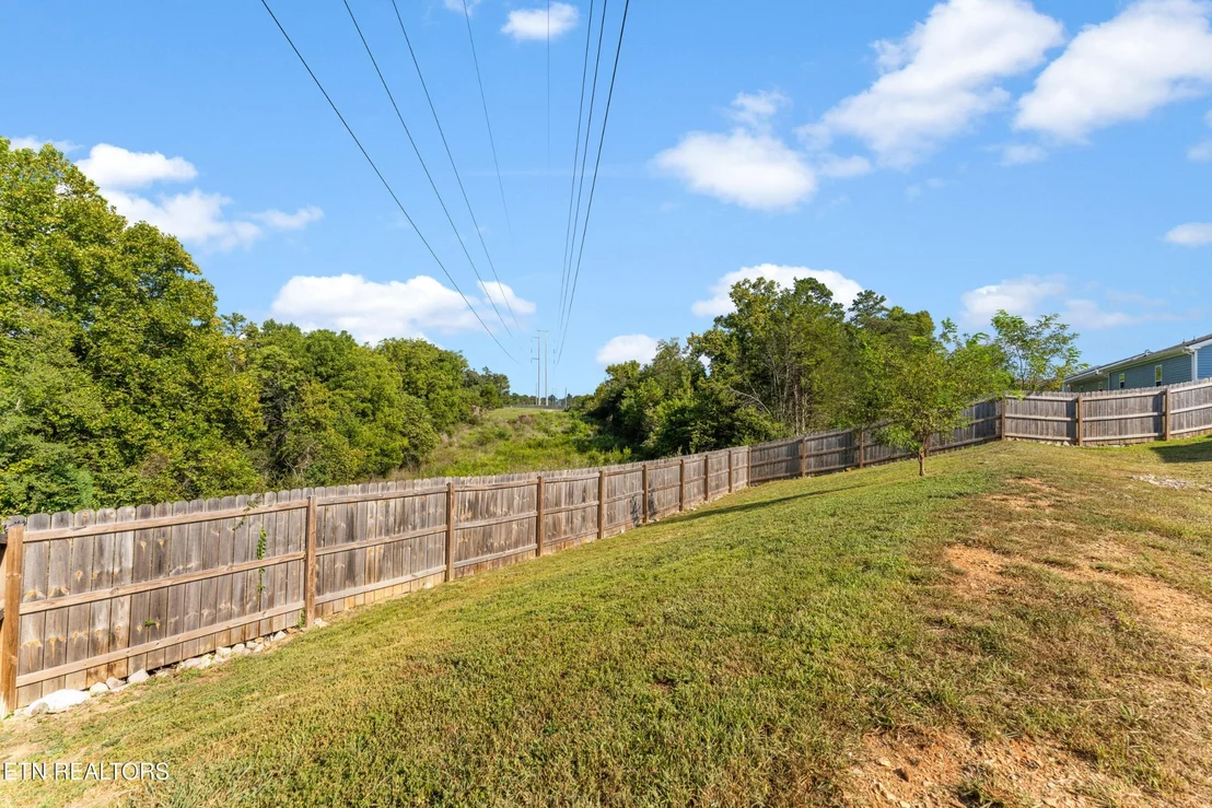 Photo of 234 Sapling Lane