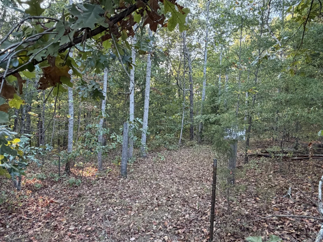 Photo of 0 Magnolia Lane