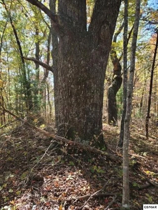Photo of 3036 Redtail Road