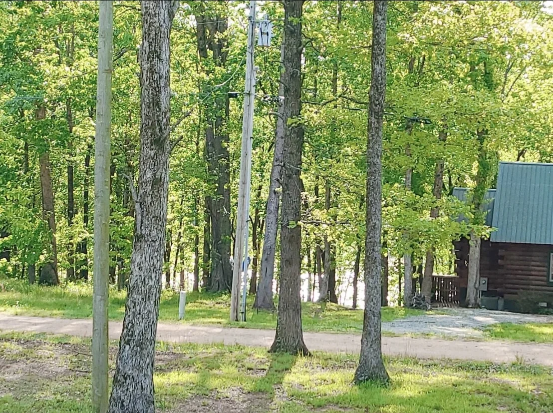 Photo of 80 Tater Bug Ln