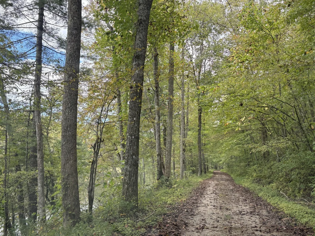 Photo of 0 Bear Den Trail