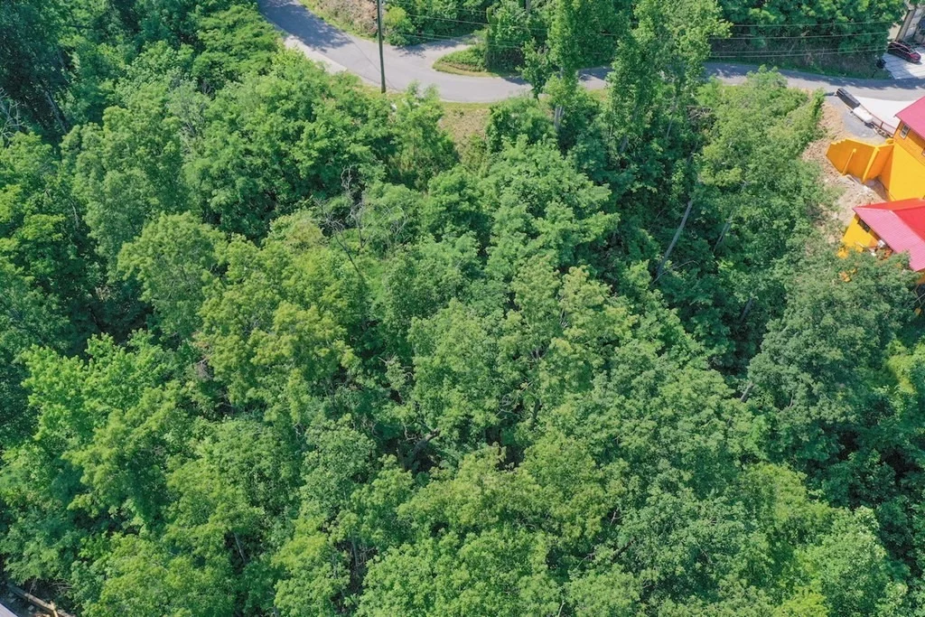 Photo of 714 Pinecrest Drive