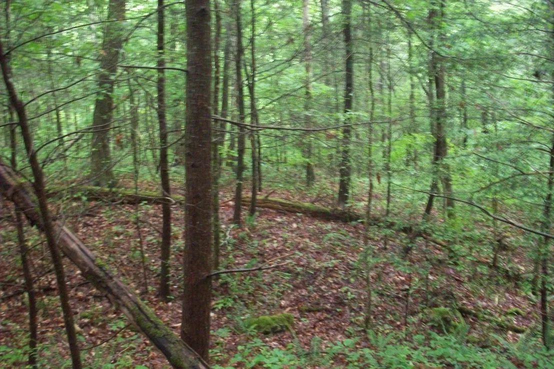 Photo of 429 Chetola Tr