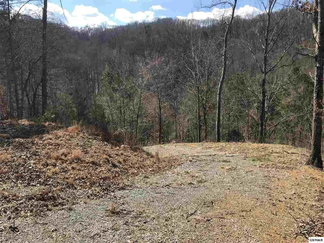Photo of 1718 Highway 25E