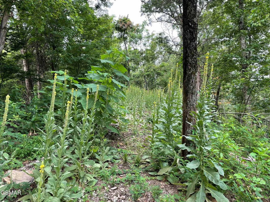 Photo of 1820 Babbs Mill Road