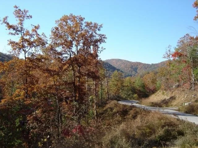 Photo of 138 Anatole Pass