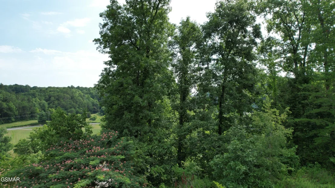 Photo of 3150 Cherokee Valley Drive