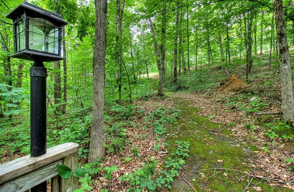 Photo of 987 Willard Way