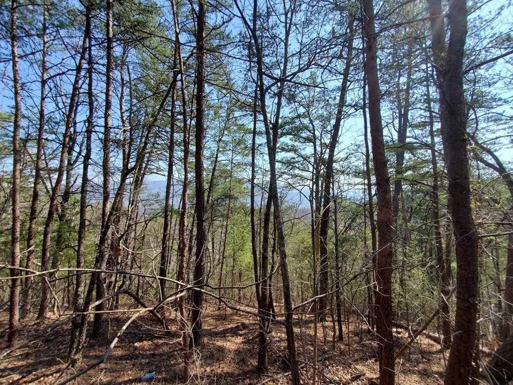 Photo of 2965 Indigo Lane
