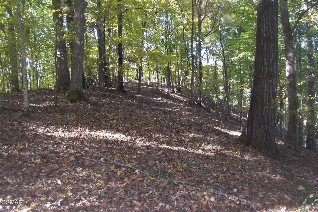 Photo of 4 Jake Thomas Road
