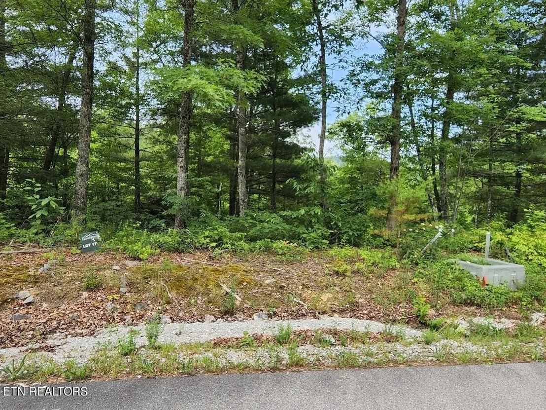 Photo of 441 Hawken Drive