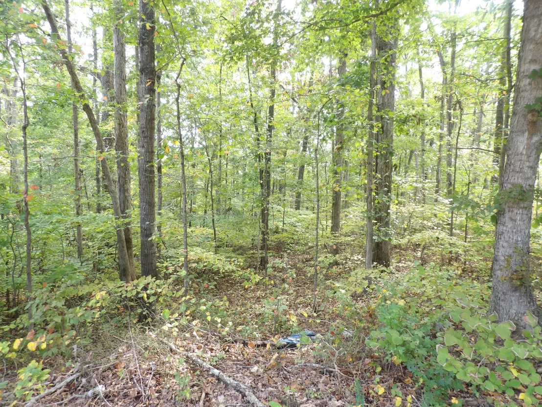 Photo of 112 Oak Ridge Dr
