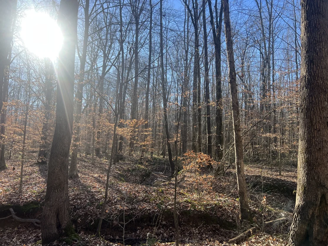 Photo of 0 Excalibur Trail