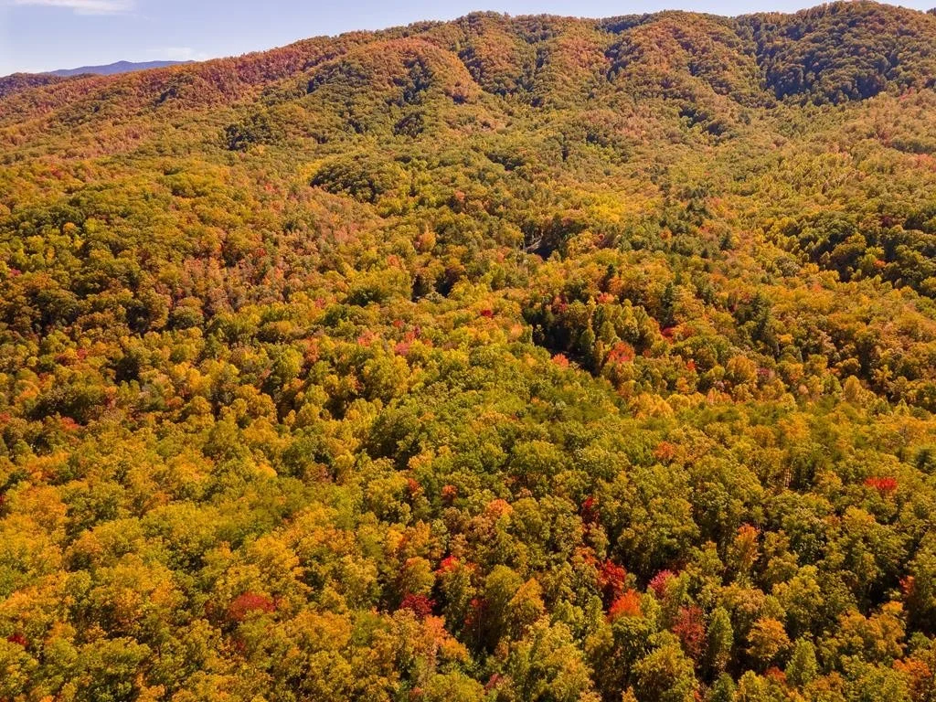 Photo of 3950 Forest Trail Drive