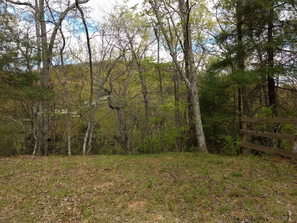 Photo of 4230 Chamberlain Lane