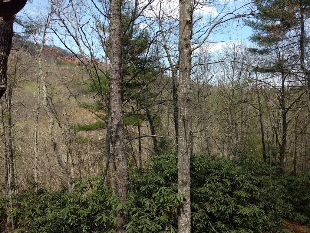 Photo of 4230 Chamberlain Lane