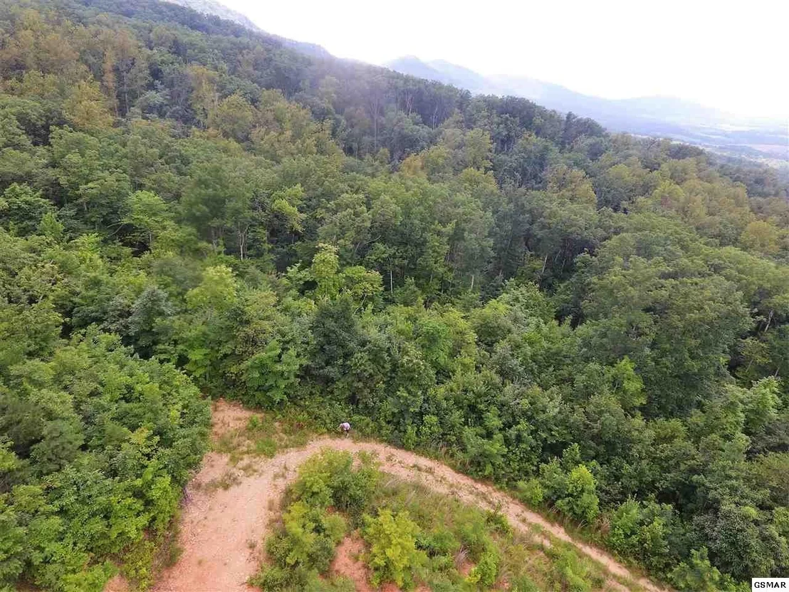 Photo of 0 Off Collier Loop