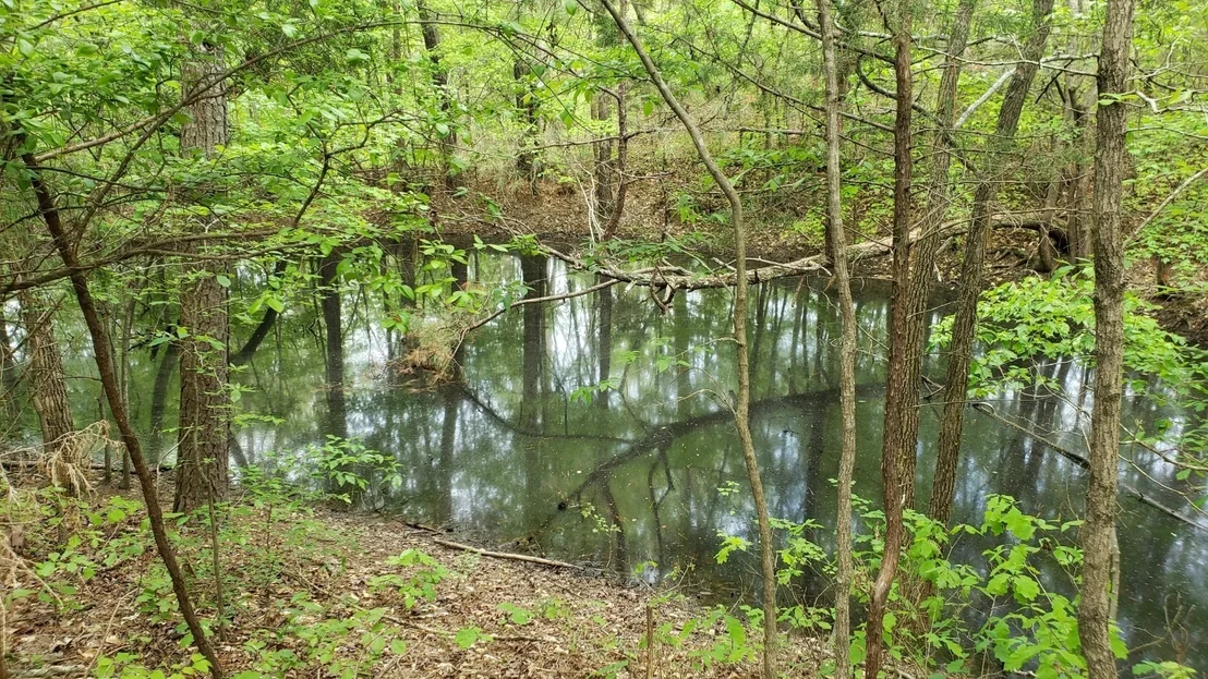 Photo of 547 Grindstone Hollow Rd