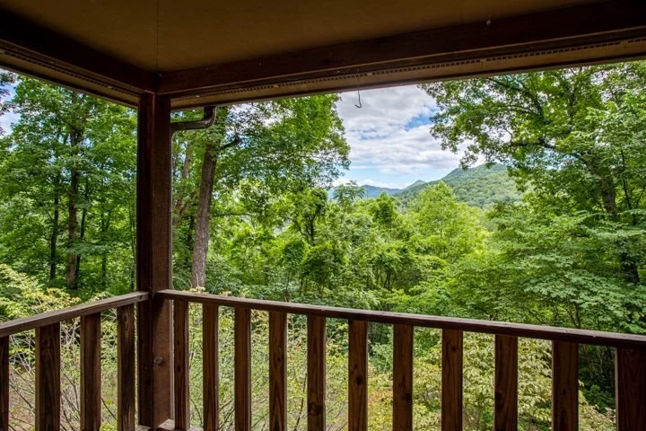 Photo of 3377 Thomaswood Trail