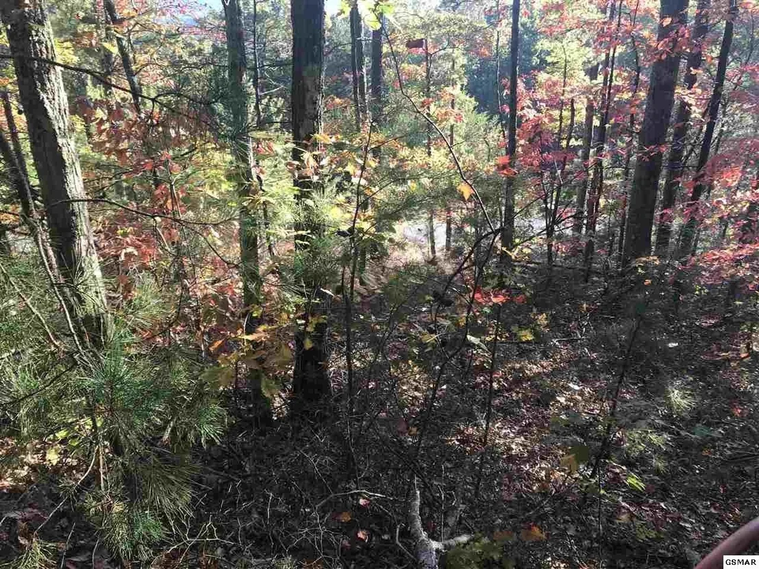 Photo of 132 Settlers View Lane