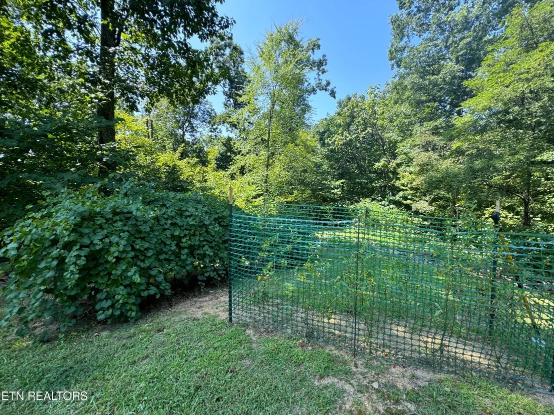 Photo of 164 Buzzard Roost Rd