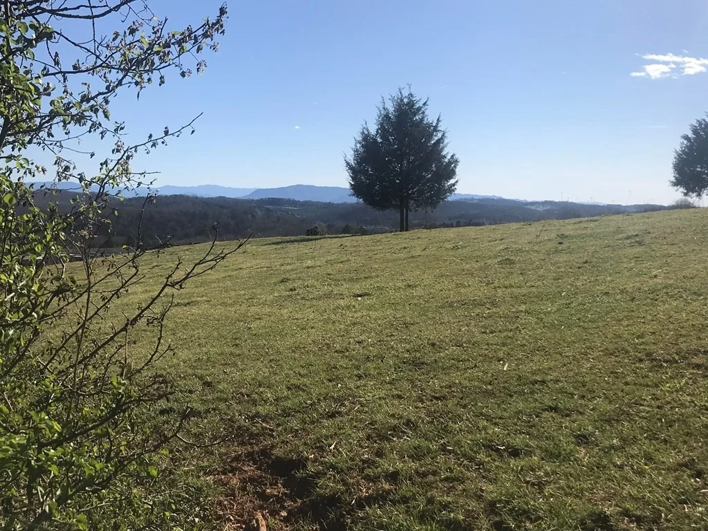 Photo of 3877 SETTLERS Trail