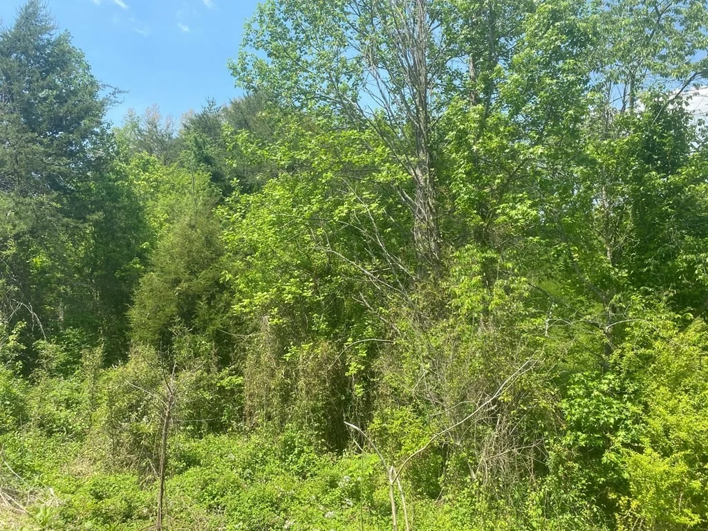 Photo of 0 Lot Tr 1 Sugar Loaf Road