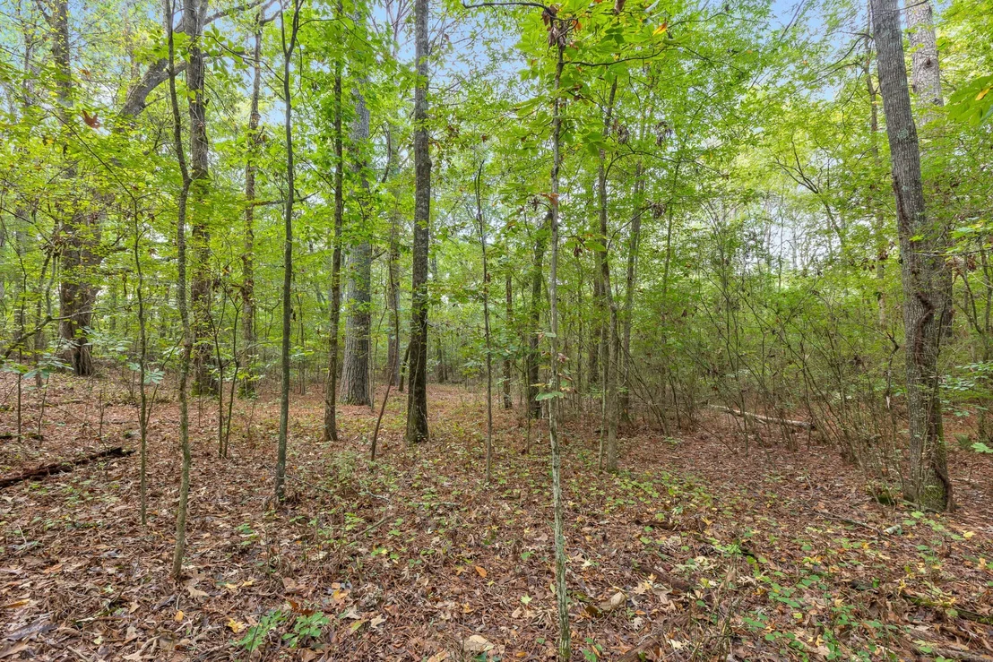 Photo of 0 Carolyn Drive