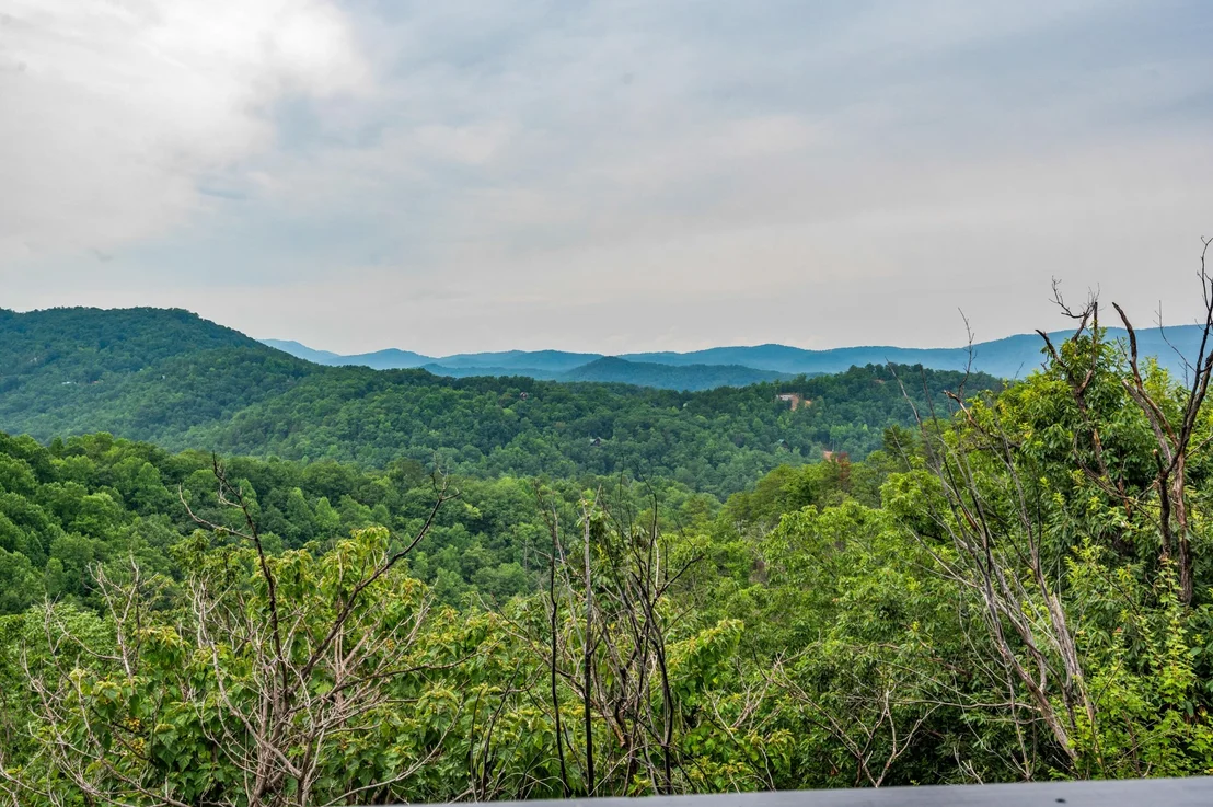 Photo of 3316 Sugar Maple Loop Road