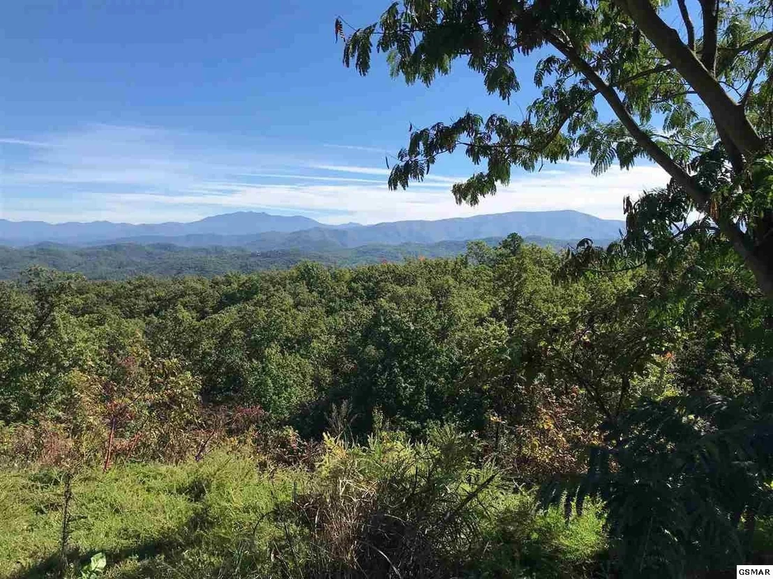 Photo of 3240 Laurel Cove Trail