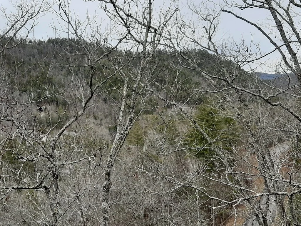 Photo of 834 Tanasi Trail