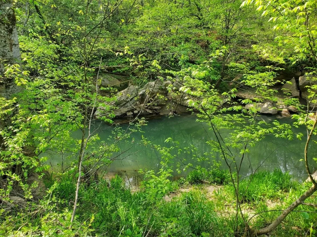 Photo of 1440 Chickadee Circle