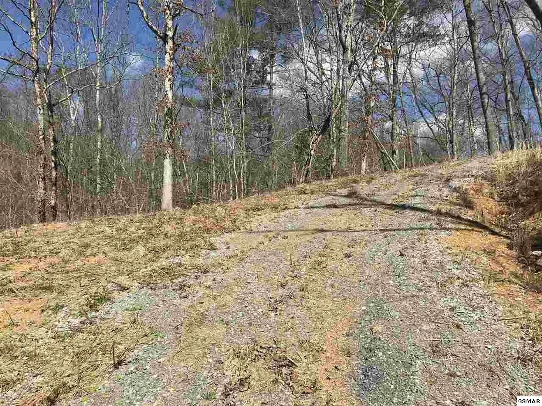 Photo of 1718 Highway 25E