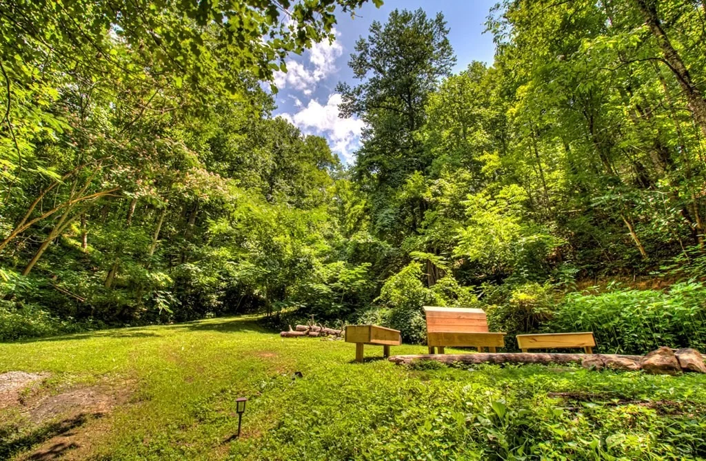 Photo of 2029 Mountain Spring Way