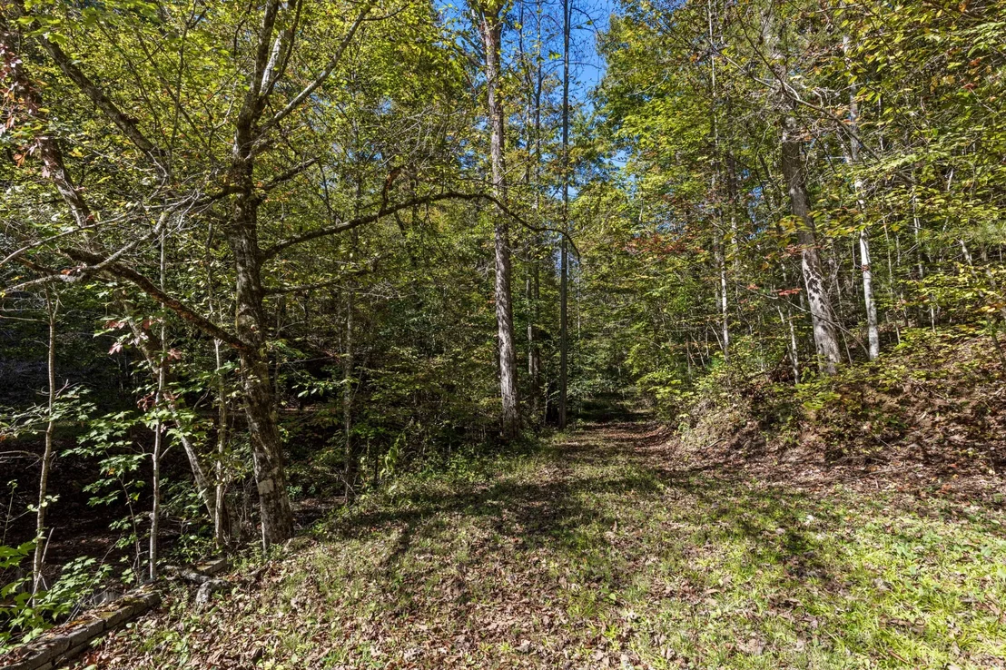 Photo of 230 Big Towee Road