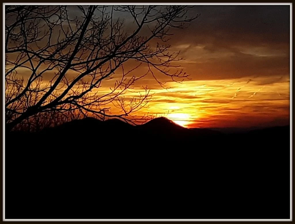 Photo of 3750 COVE MOUNTAIN Road