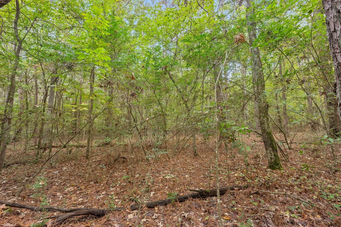 Photo of 0 Carolyn Drive