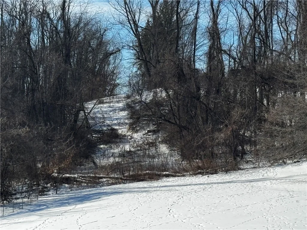 Photo of 0 Hickory