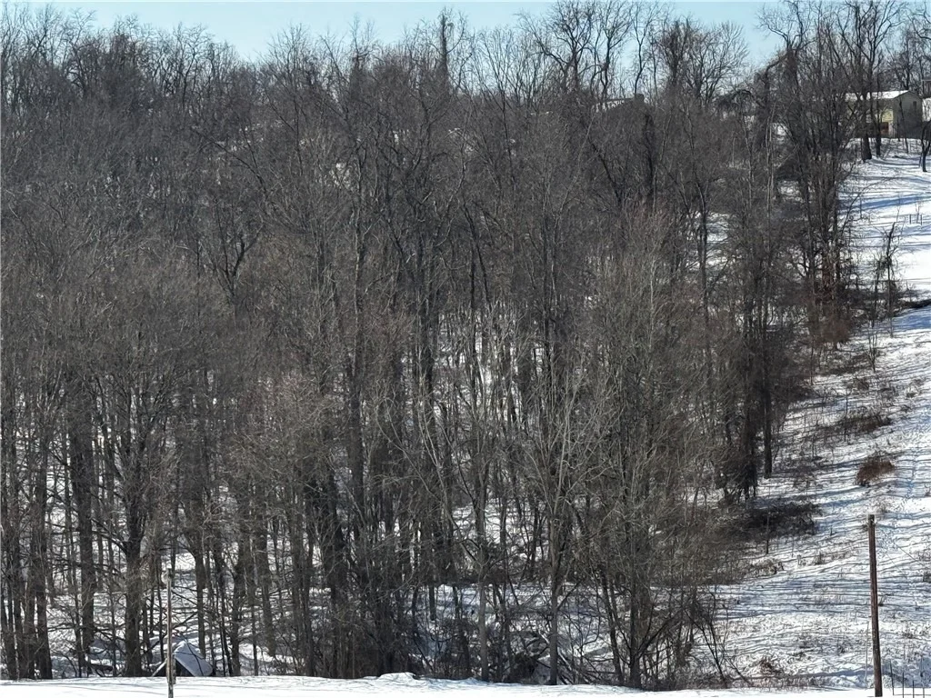 Photo of 0 Hickory