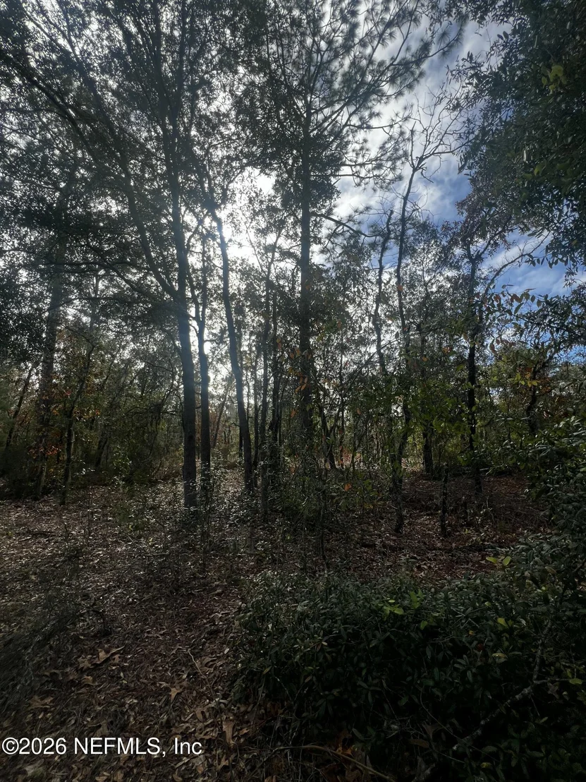 Photo of 307 LEMON Street