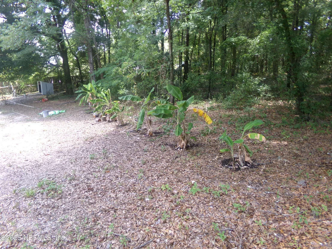 Photo of 231 6TH Way