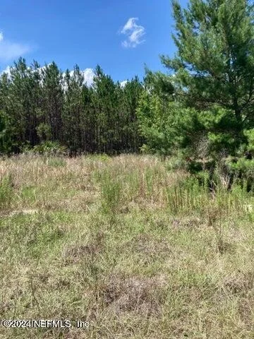 Photo of 138 COUNTY ROAD 309