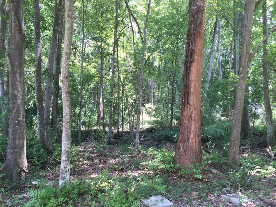 Photo of 911 COLE Road