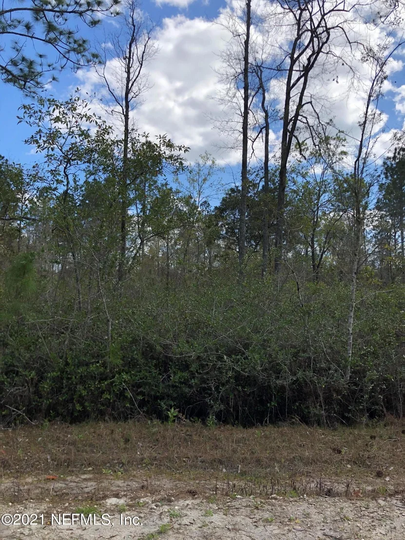 Photo of 242 171ST KOII LOT 5 Street