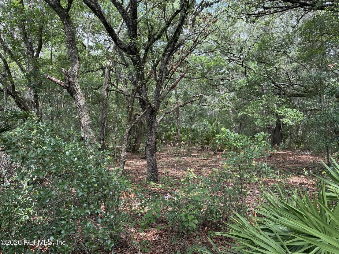Photo of 107 LAUREL Drive