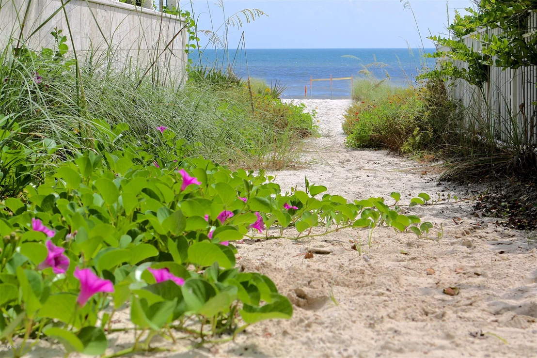 Photo of 63 BEACHSCAPE Circle