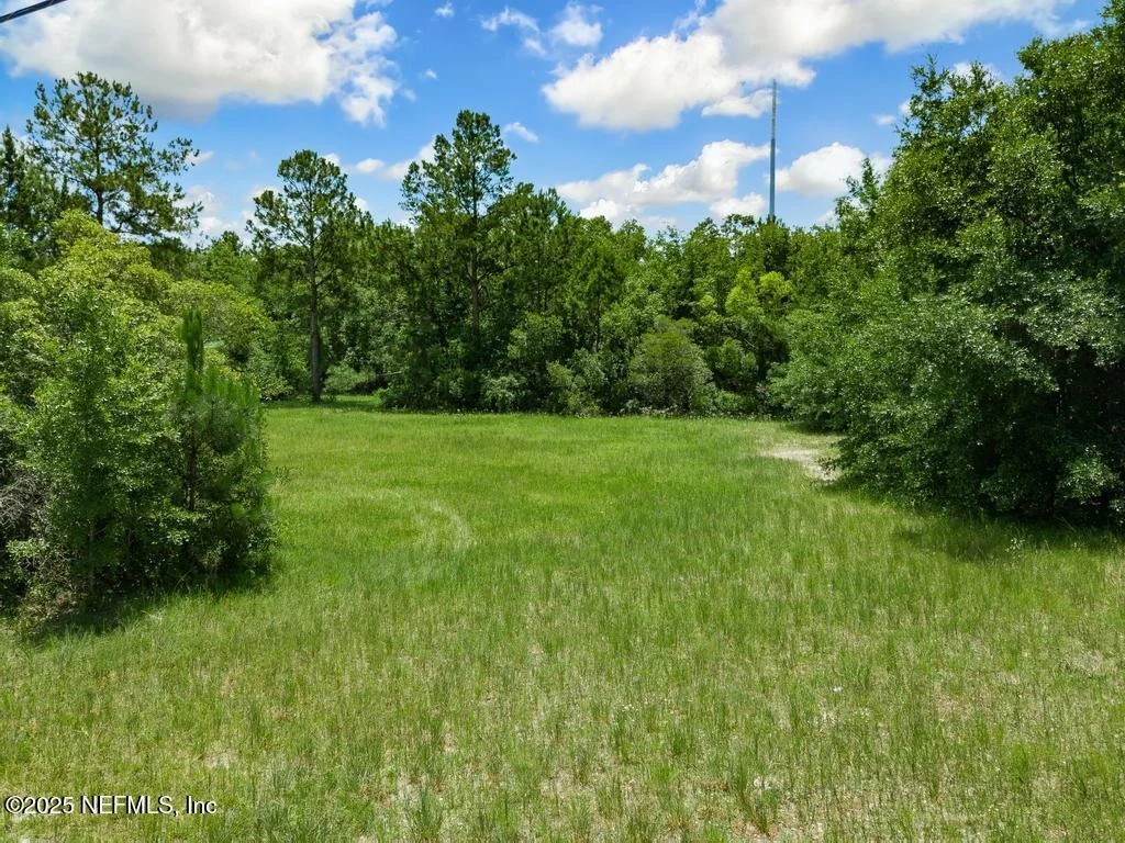 Photo of 50 BIRD Road