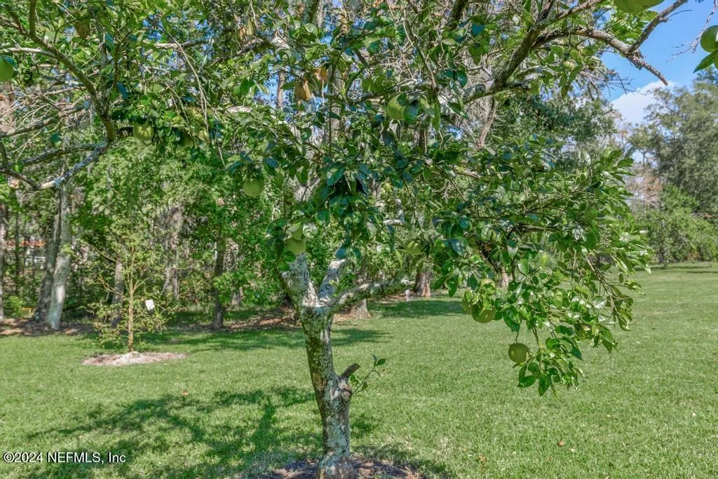 Photo of 413 RIVER BIRCH Lane