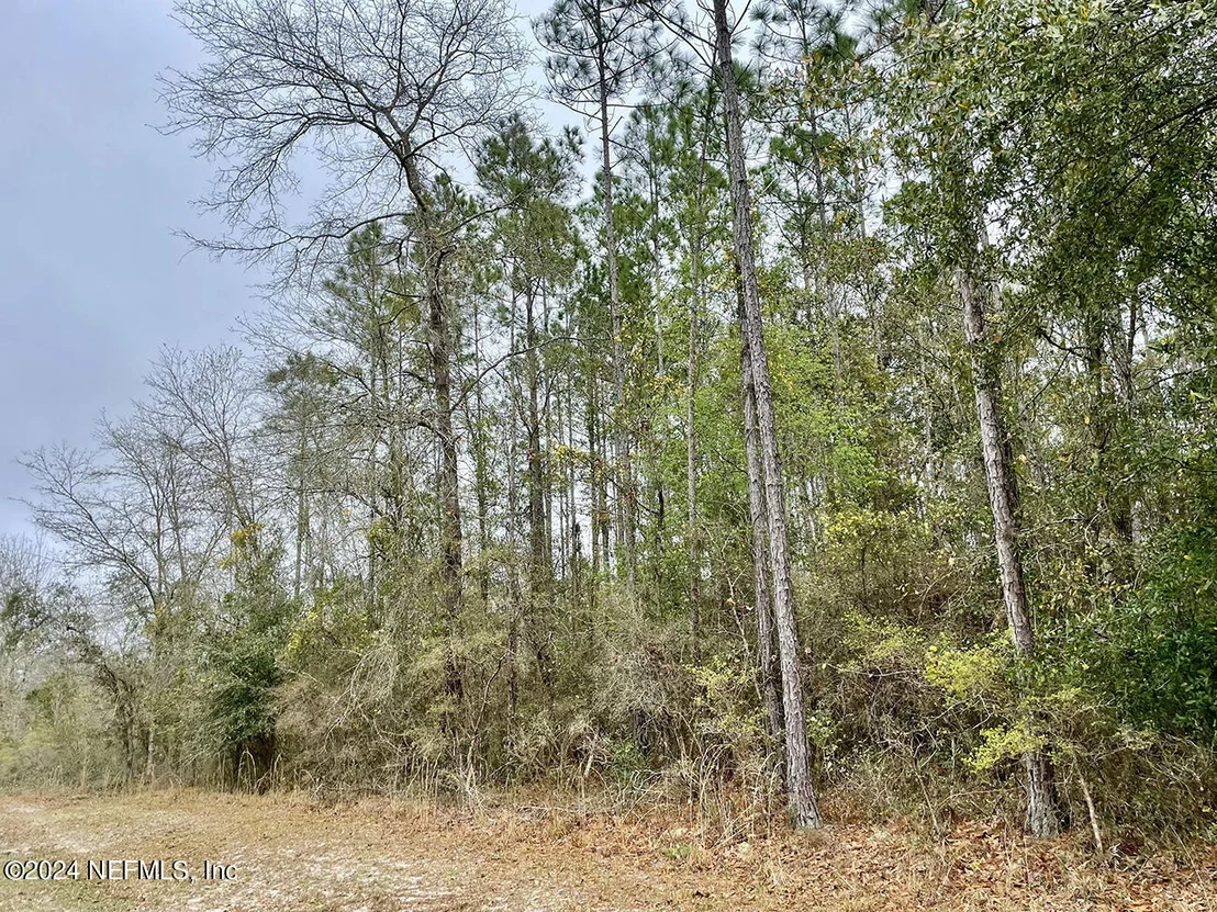 Photo of 15436 BULLOCK BLUFF Road