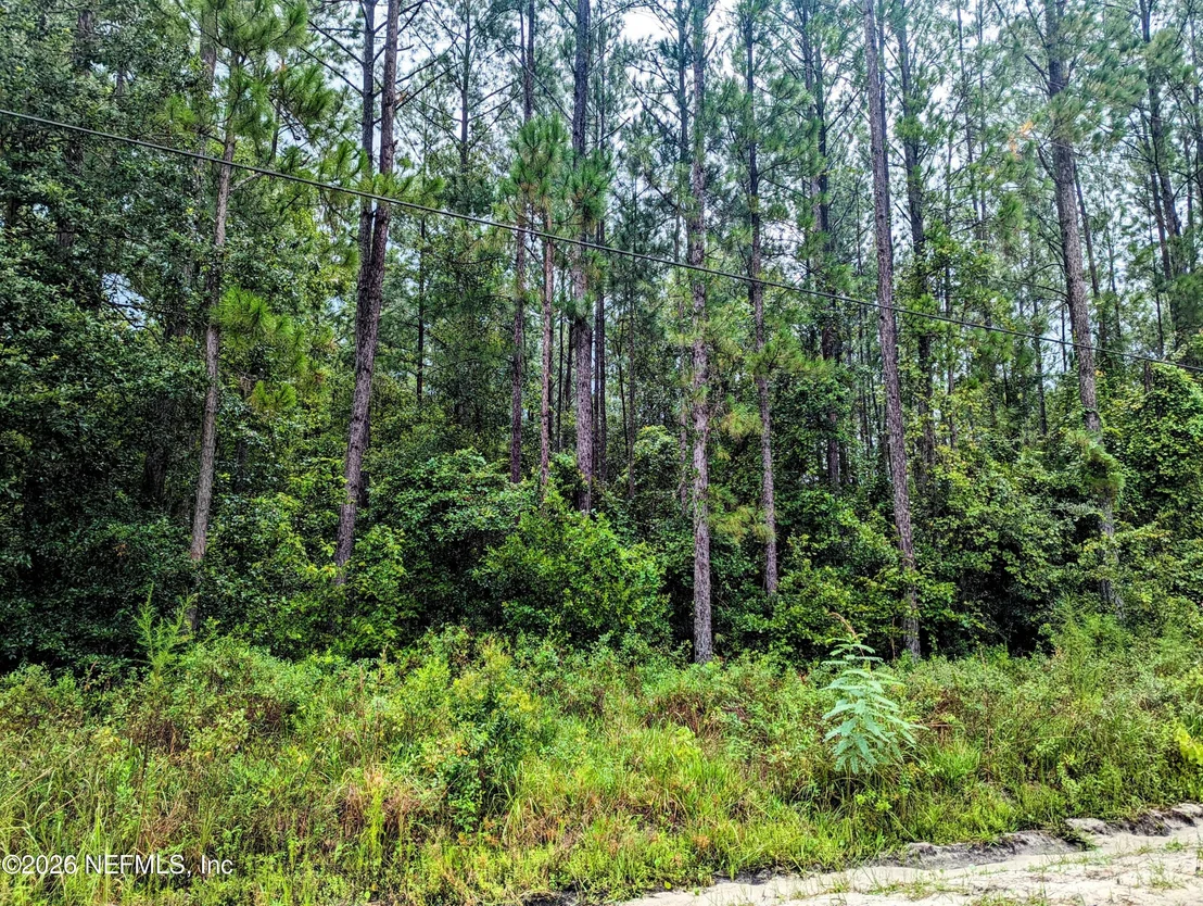 Photo of 4436 LORI LOOP Road